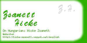 zsanett hicke business card